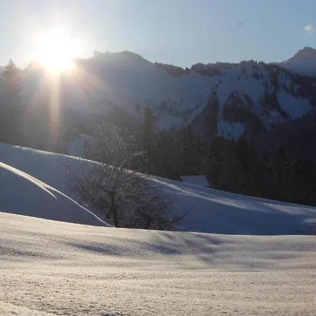 In Vorarlberg Holiday home Egg