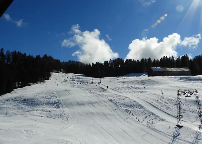 In Vorarlberg Nahe Skipisten * Egg